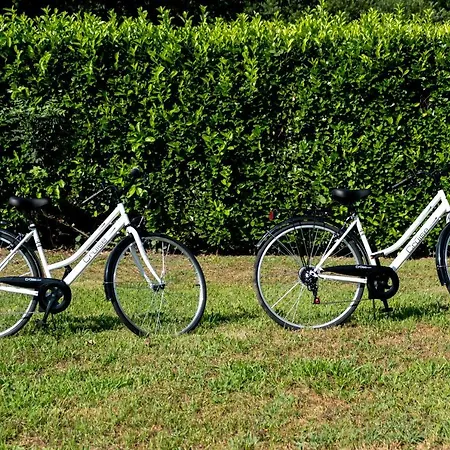 Casa Delle Rose 2 公寓 韦尔巴尼亚