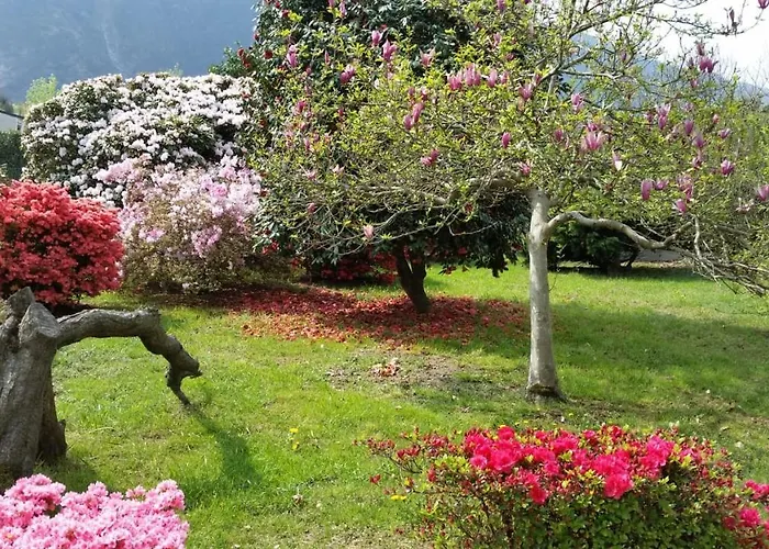 Casa Delle Rose 2 *